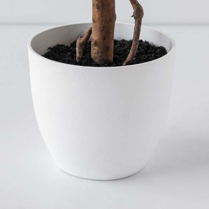 Arbre poinsettia rouge 59|Arbre poinsettia rouge de 59 po