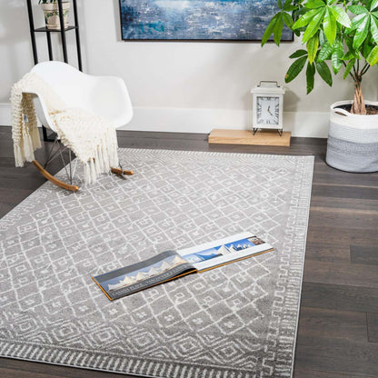 Roma Looms Gris 7x10 Tapis d'Area | Tapis Roma Looms grise 7 x 10 | D80G6N1K