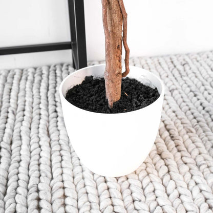 Arbre poinsettia rouge 47|Arbre poinsettia rouge de 47 po