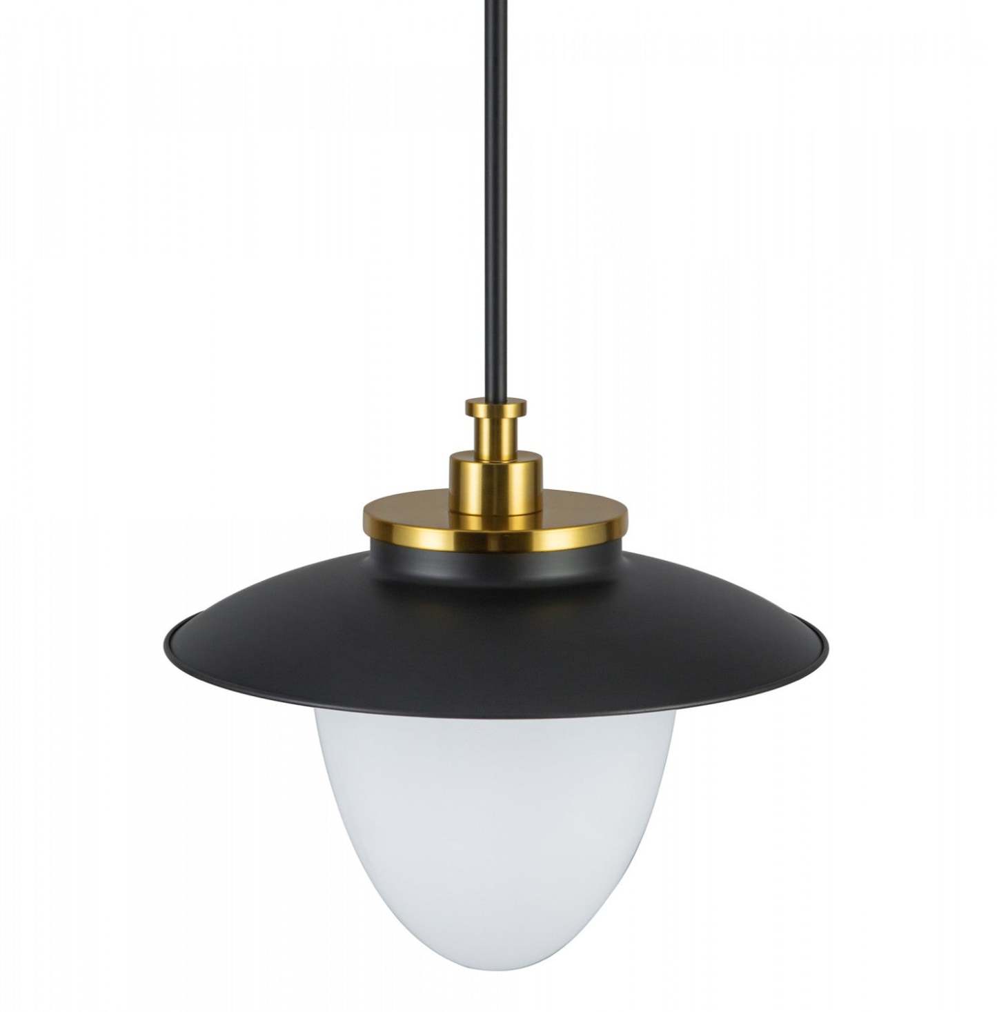 Dahlia 1 Lumière Suspension 15, Lampe Noire | Suspension A 1 lampe Dahlia De 15 po, Noire