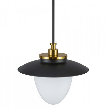 Dahlia 1 Lumière Suspension 15, Lampe Noire | Suspension A 1 lampe Dahlia De 15 po, Noire