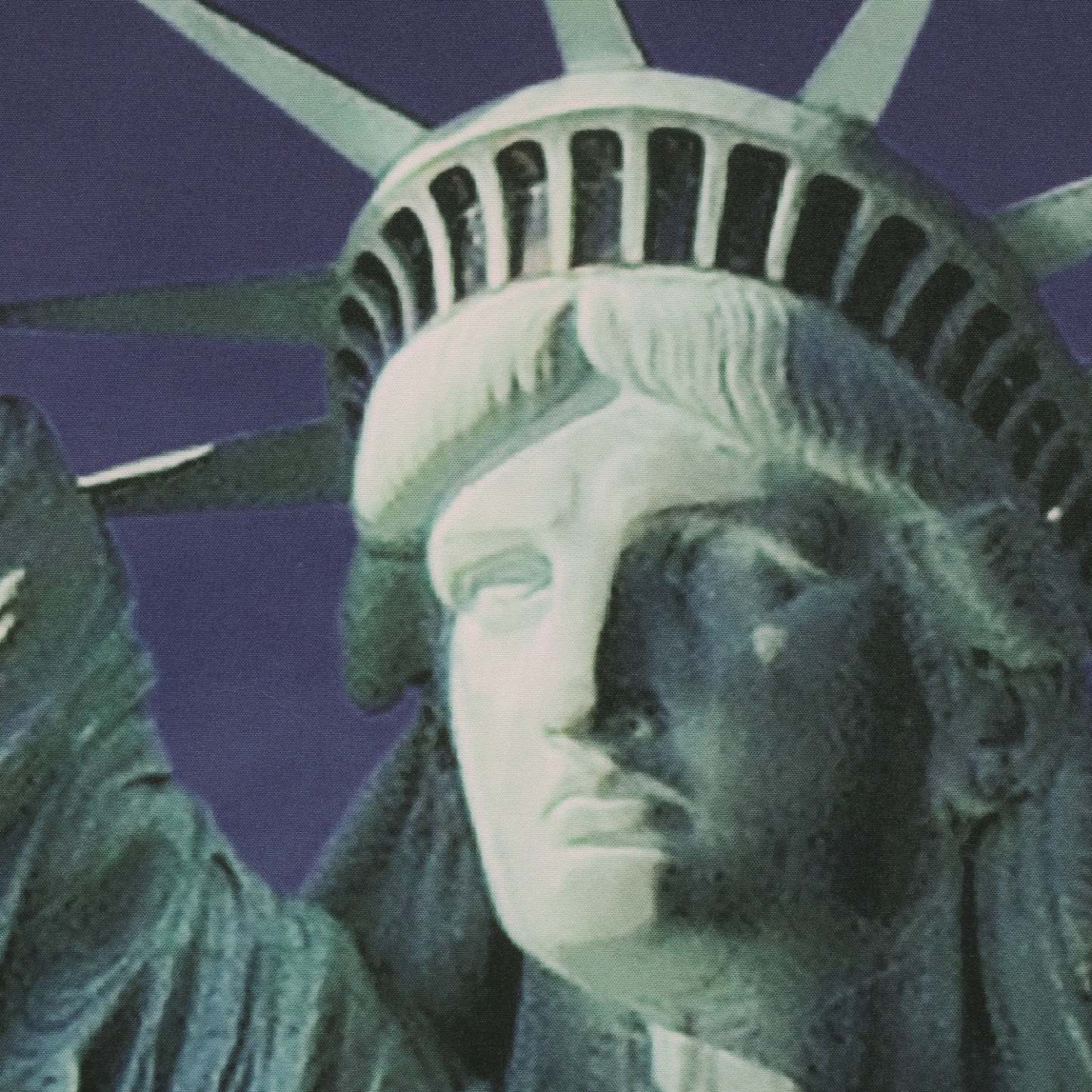 Habitat Statue de la Liberté Filtrant la Lumière Pole Top Curtain Panel Paire - 37 x 84|Paire de panneaux de rideau filtrant la lumière passe-tringle Statue de la Liberté d'Habitat - 37 x 84