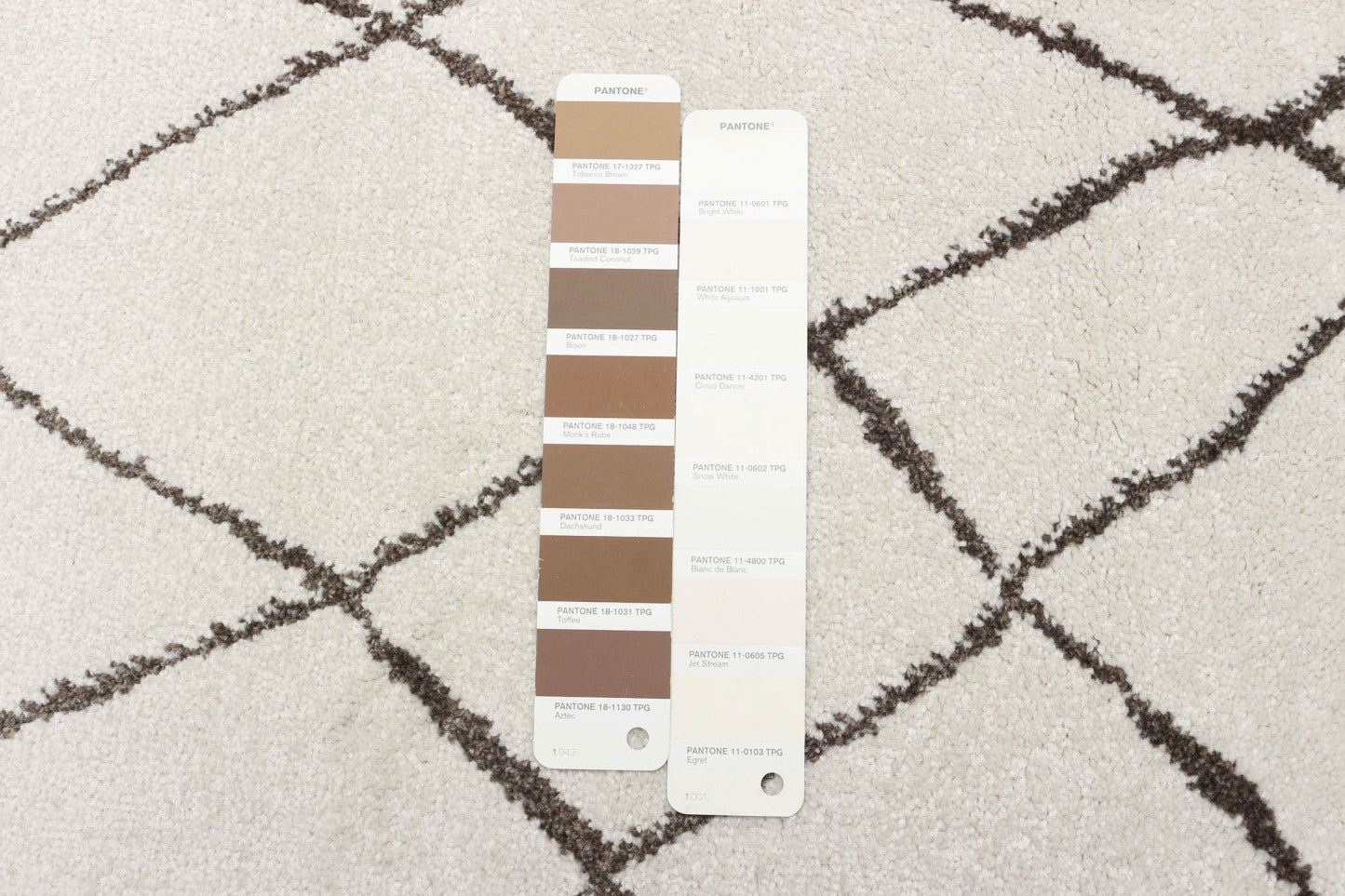 Tapis Anas ivoire - 5'3 x 7'3|Carpette Anas ivoire - 5 pi 3 po x 7 pi 3 po| D27D3G6Z