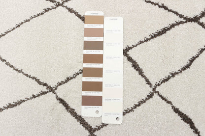 Tapis Anas ivoire - 5'3 x 7'3|Carpette Anas ivoire - 5 pi 3 po x 7 pi 3 po| D27D3G6Z