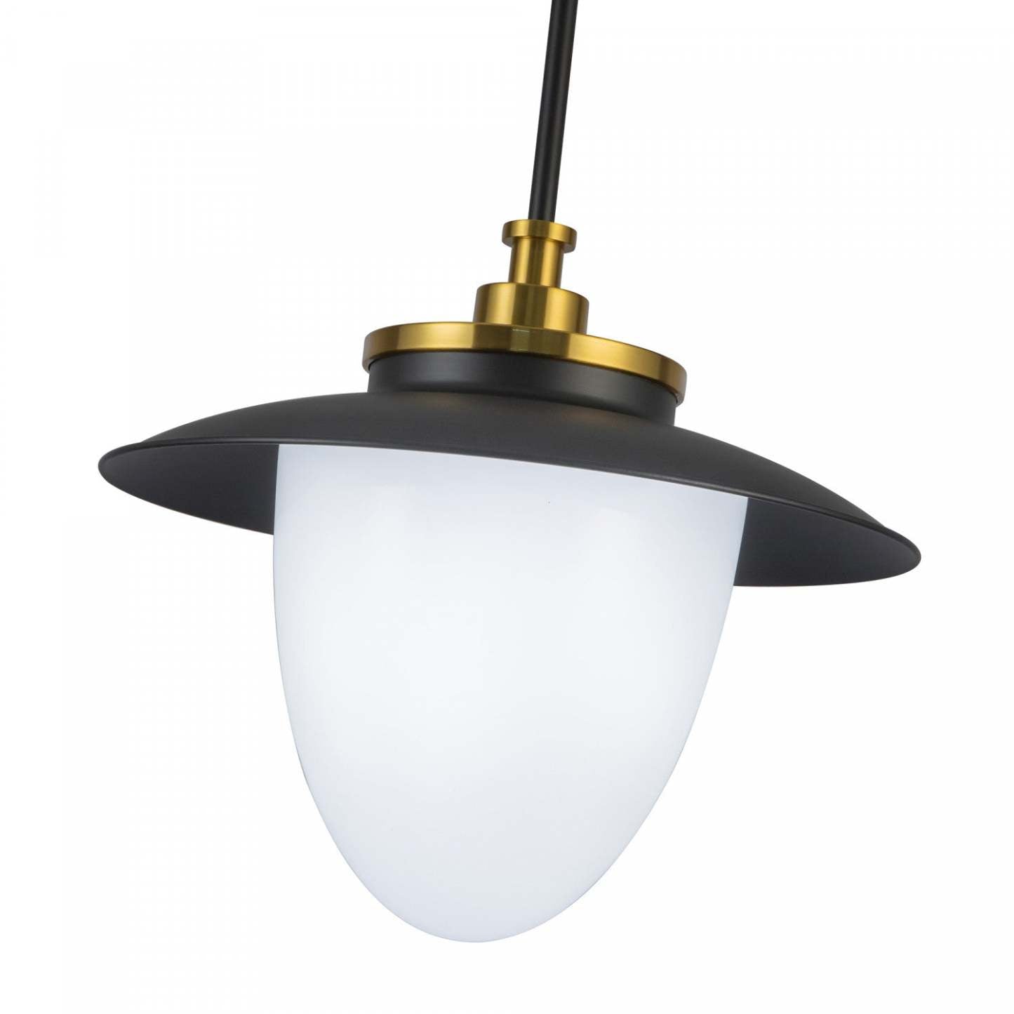 Dahlia 1 Lumière Suspension 15, Lampe Noire | Suspension A 1 lampe Dahlia De 15 po, Noire