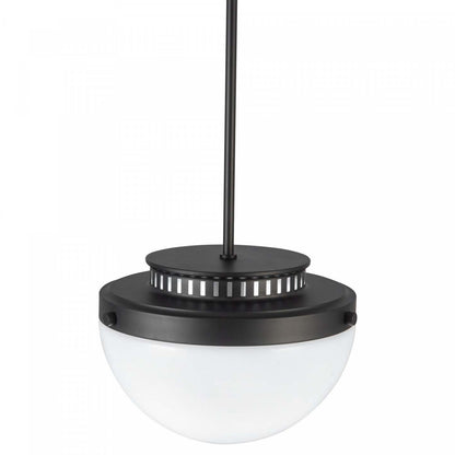 Lampe suspendue Dahlia à 1 ampoule 12, lampe noire | Suspension A 1 lampe Dahlia De 12 po, Noire