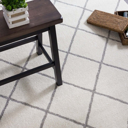 Tapis Lav Basics blanc 5 x 8 | D80GA67V