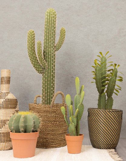 Cactus artificiel à 21 oreilles de lapin dans un pot en terre cuite | Cactus opuntia artificiel de 21 po en pot terre cuite | D10H1ZWS