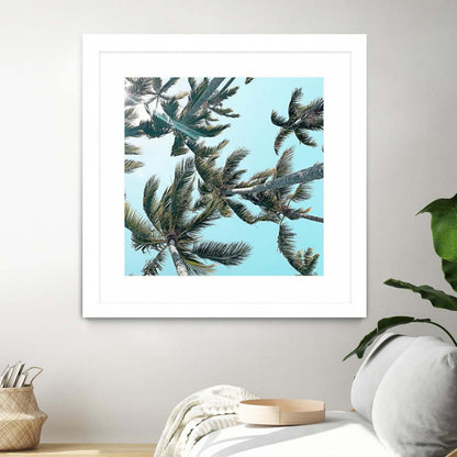 Palm 03 Matted and Framed White 36x36 Wall Art|Œuvre d'art murale encadrée blanche et mate « Palm 03 » 36 x 36