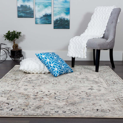 Tapis Far Grey 4x6|Carpette Far grise 4 x 6|D80GP2FA