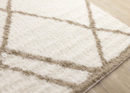 Taylor Soft Shag Area Rug - 5'3 x 7'7|Carpette à poil long douce Taylor - 5 pi 3 po x 7 pi 7 po