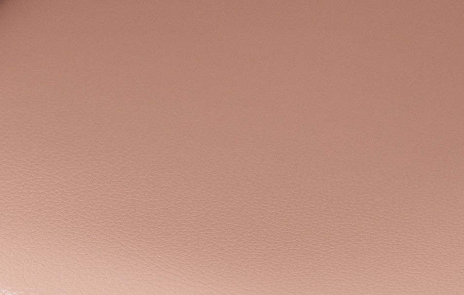 Chaises de salle à manger Flam Rose - Ensemble de 2 | Flam Ensemble de 2 chaises de salle à manger - Rose | D83GDLQS