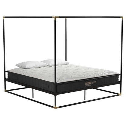 Cosmoliving By Cosmopolitan Celeste Canopy Metal King Bed - Black/Gold|Très grand lit à baldaquin Celeste de Cosmoliving By Cosmopolitan en métal - noir et doré