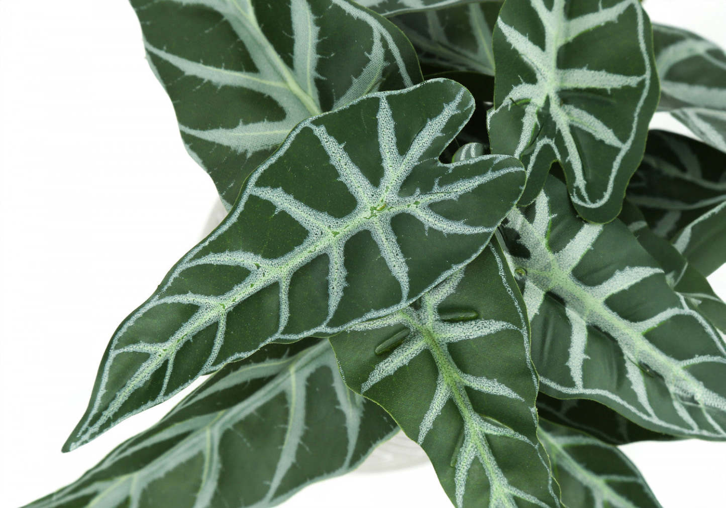 Plante artificielle Alocasia 8 - Ensemble de 2|Plante artificielle Alocasia 8 po - ensemble de 2