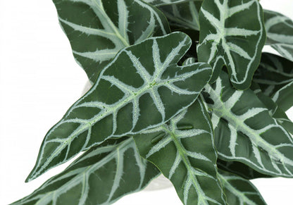 Plante artificielle Alocasia 8 - Ensemble de 2|Plante artificielle Alocasia 8 po - ensemble de 2