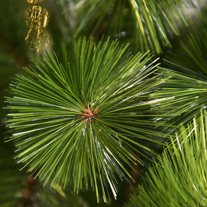 Homcom Arbre De Noël Artificiel De 7 Pieds Avec Des Pointes De Branches Réalistes Vert|Homcom Arbre De Noël Artificiel De 7 Pieds Avec 505 Branches