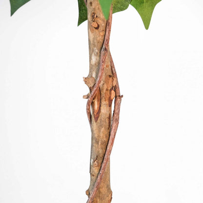 Arbre poinsettia rouge 47|Arbre poinsettia rouge de 47 po