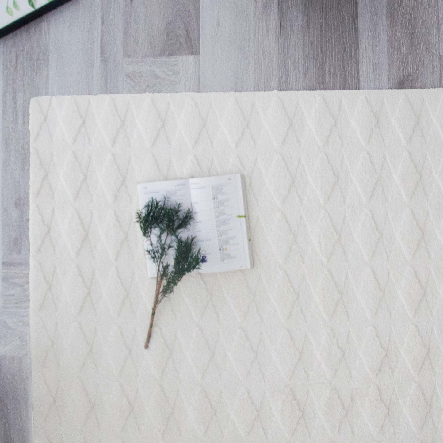 Pelo Diamond Cream Tapis A Poils Longs Lavable 5'x7' Tapis d'Intérieur | Pelo Diamond Cream Tapis A Poils Longs Lavable 5'x7'