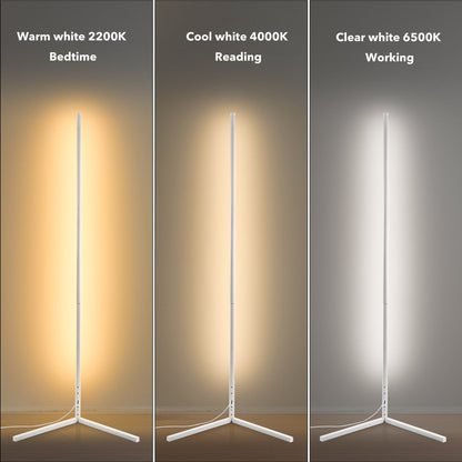 Lampadaire d'angle minimaliste LED en métal RGB 55