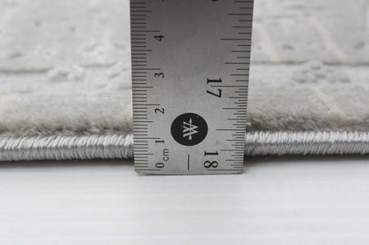 Tapis Shaleigh gris 6'7 X 9'6 | Tapis Shaleigh grise 6 pi 7 po x 9 pi 6 po | D86F2J9A