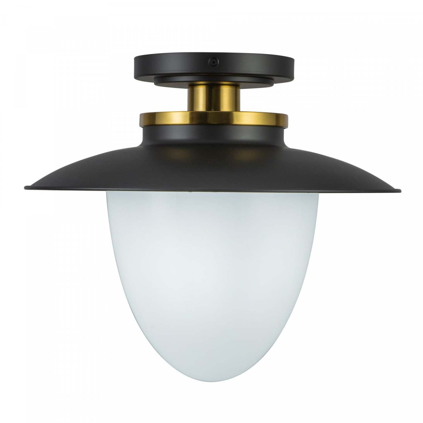 Dahlia 1 Lumière Suspension 15, Lampe Noire | Suspension A 1 lampe Dahlia De 15 po, Noire
