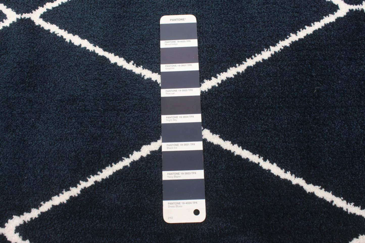 Tapis August bleu marine et blanc 7'10 x 10'2 | D86FBD6X