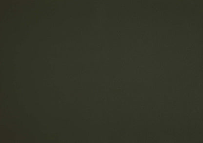 Chaise d'appoint Murdock en cuir vert | Fauteuil D'appoint Murdock En Cuir Vert