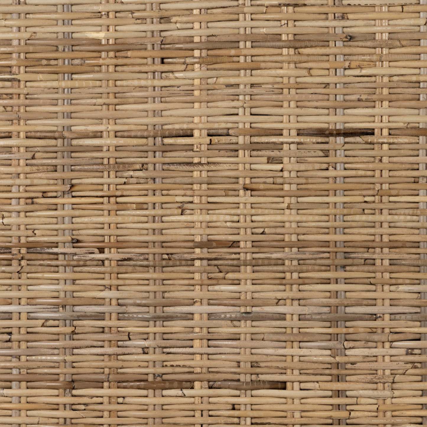 Tête de lit murale Balka - Arbre exotique | Tête de lit murale Balka - arbre exotique | D83GIWM5