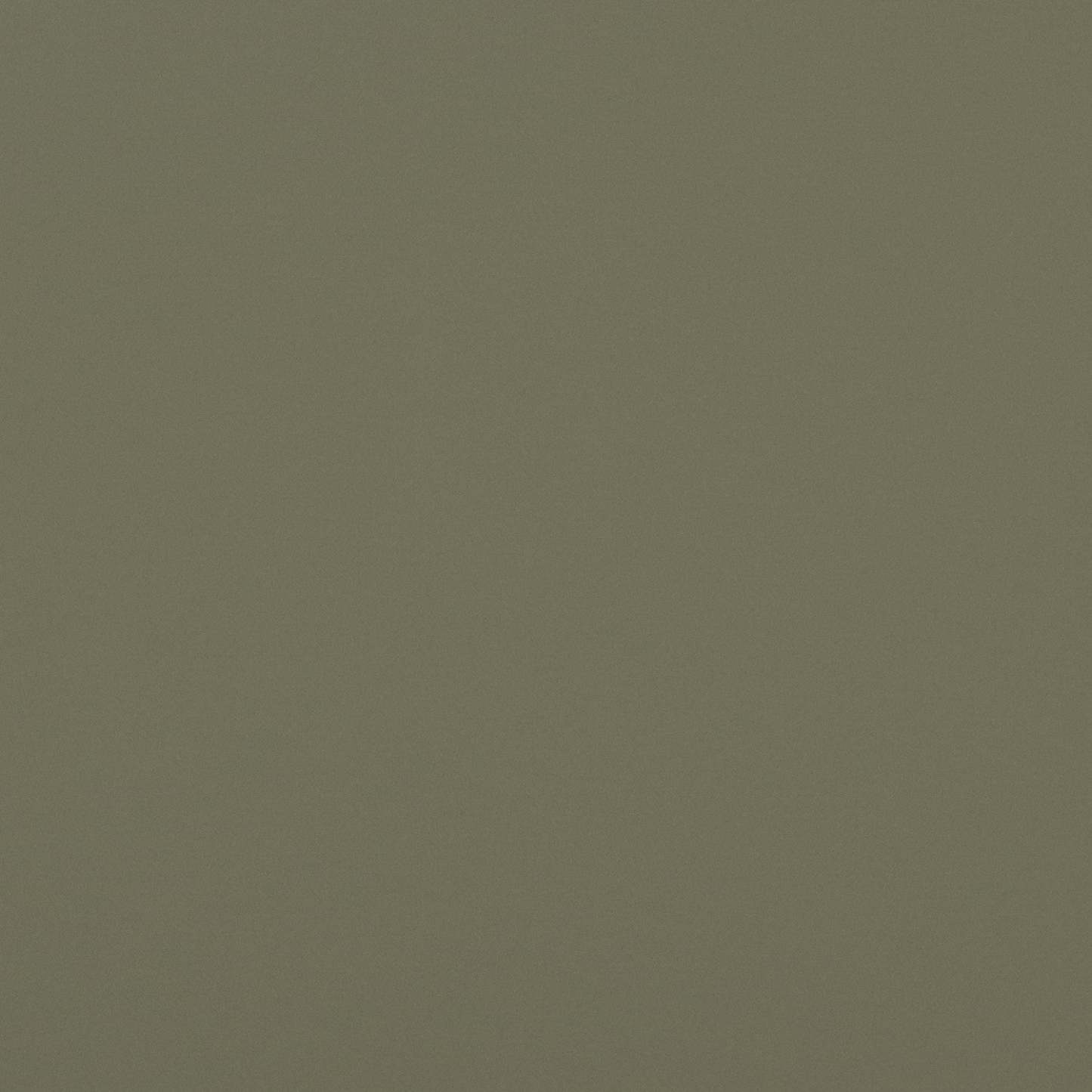 Kodali Glass Door Accent Cabinet - Olive Green|Armoire décorative Kodali avec portes en verre - vert olive