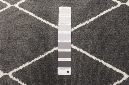 Tapis August gris foncé-blanc 5'3 x 7'3|Carpette August gris foncéblanc 5 pi 3 po x 7 pi 3 po|D86FMWKR