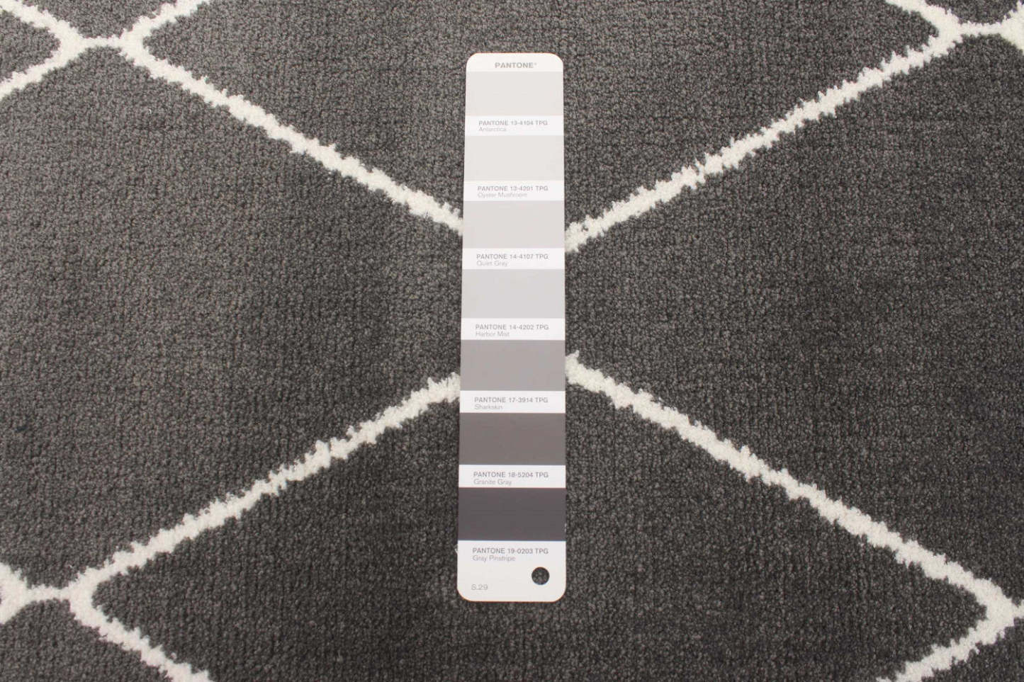 Tapis August Gris Foncé-Blanc 7'10 x 10'2|Carpette August gris foncéblanc 7 pi 10 po x 10 pi 2 po|D86FED4J