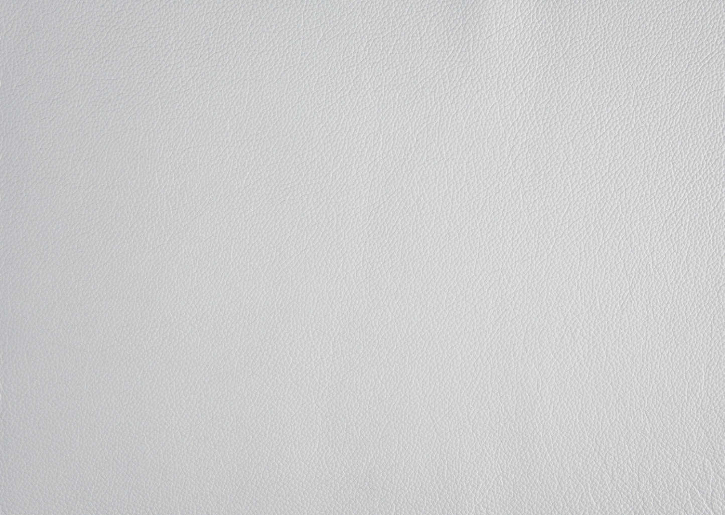 Fauteuil d'appoint Murdock en cuir argenté | Fauteuil D'appoint Murdock En Cuir Argenté