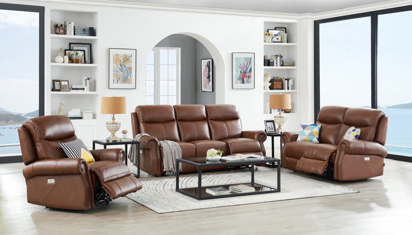 Hydeline Royce Power Reclining Loveseat - Brown|Causeuse à inclinaison électrique Royce de Hydeline - brune