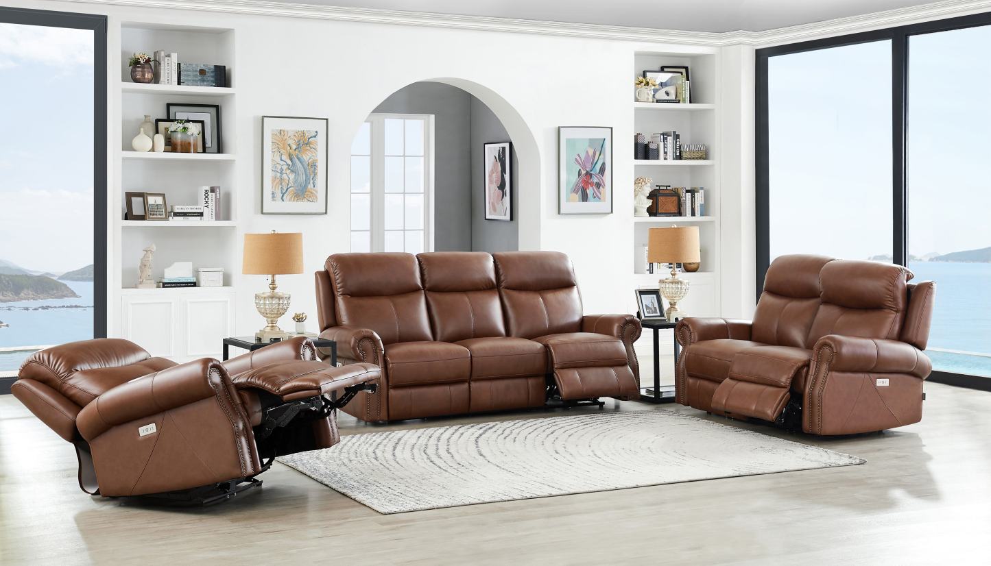 Hydeline Royce Power Reclining Loveseat - Brown|Causeuse à inclinaison électrique Royce de Hydeline - brune