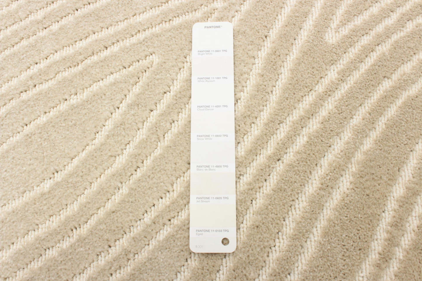 Tapis Lane ivoire 2'8 x 4'11|Carpette Lane ivoire 2 pi 8 po x 4 pi 11 po|D86F9UC4