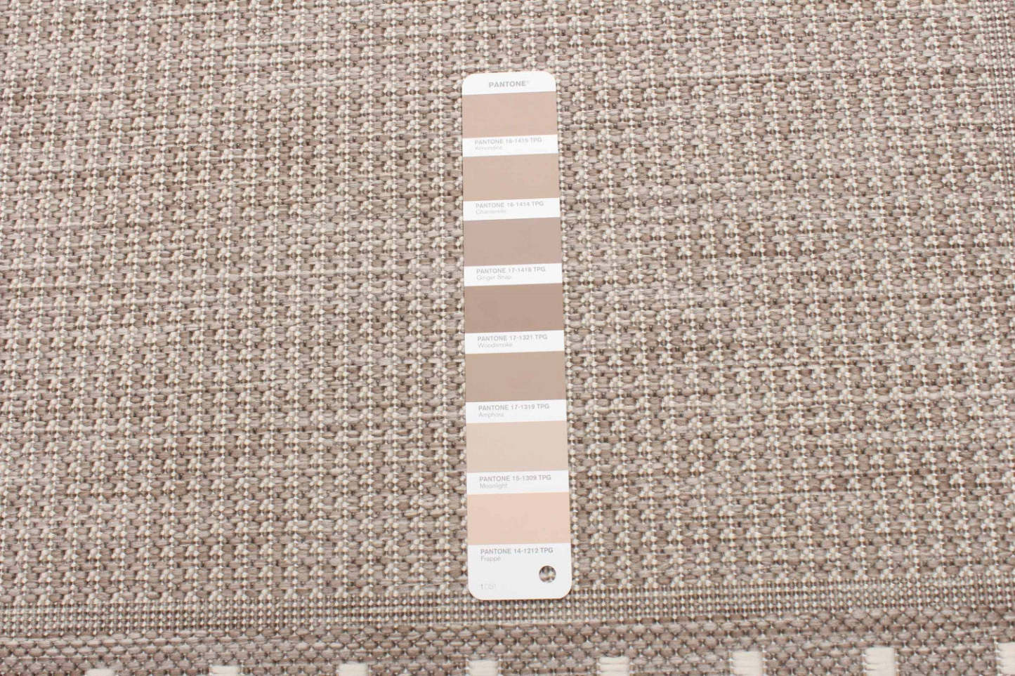 Carpette Clementine - 2 pi 2 po x 6 pi 7 po |Clementine Tan Area Rug - 2'2 X 6'7