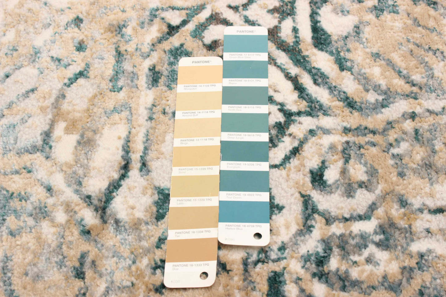 Tapis Zoé Ivoire - 8'0 x 10'0|Carpette Zoé ivoire - 8 pi 0 po x 10 pi 0 po