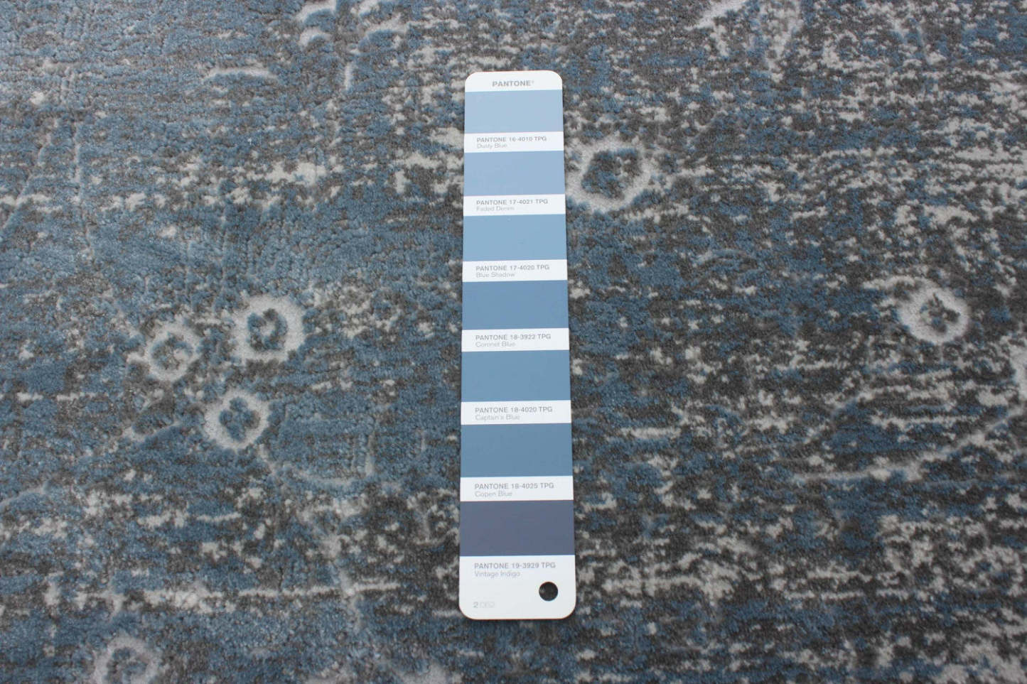 Tapis Dayna Bleu, Gris 8'0 X 10'0 Tapis|Carpette Dayna grise 8 pi 0 po x 10 pi 0 po