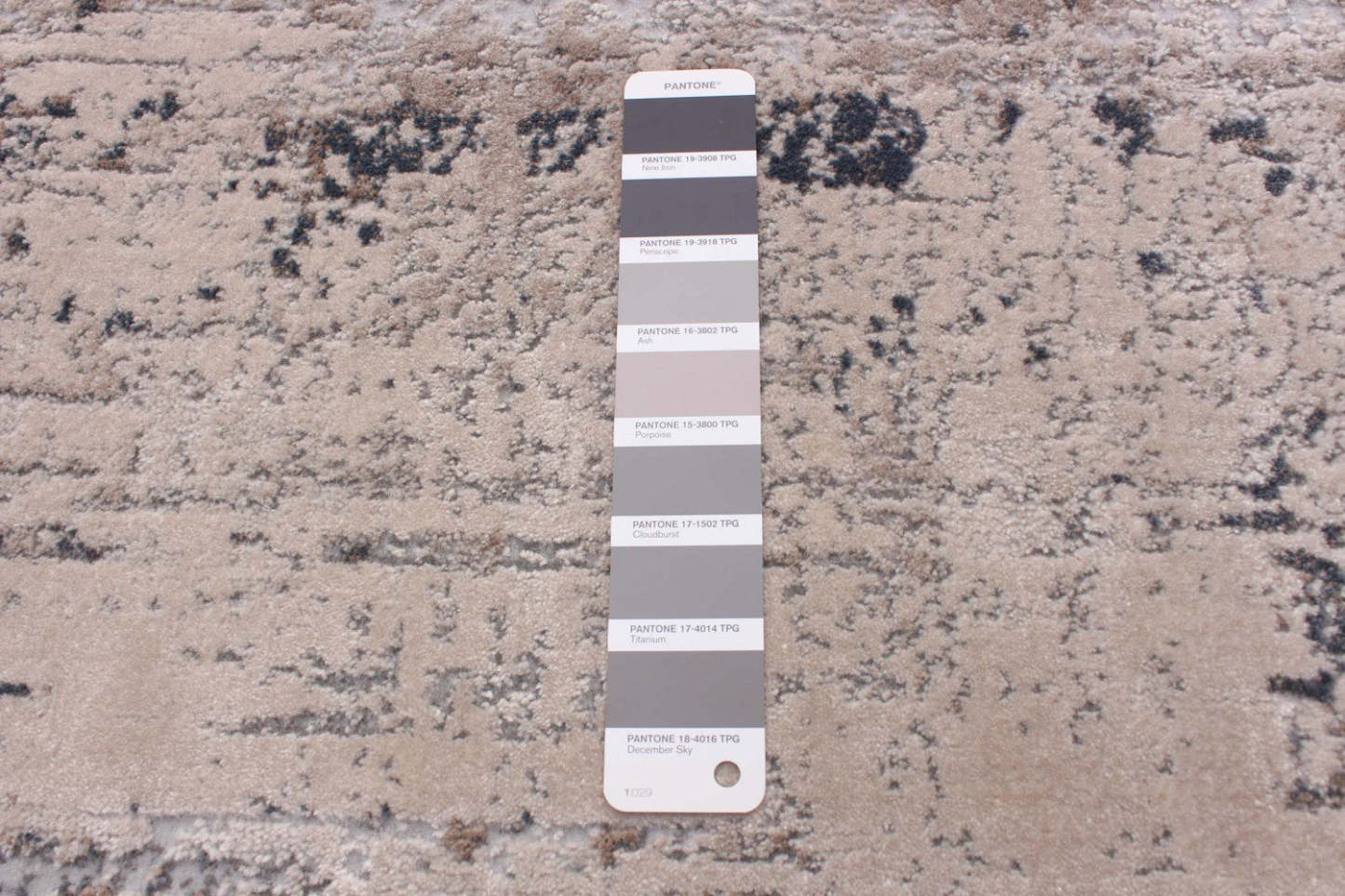 Tapis Delaine Taupe 8'0 X 10'0 Tapis|Carpette Delaine taupe 8 pi 0 po x 10 pi 0 po