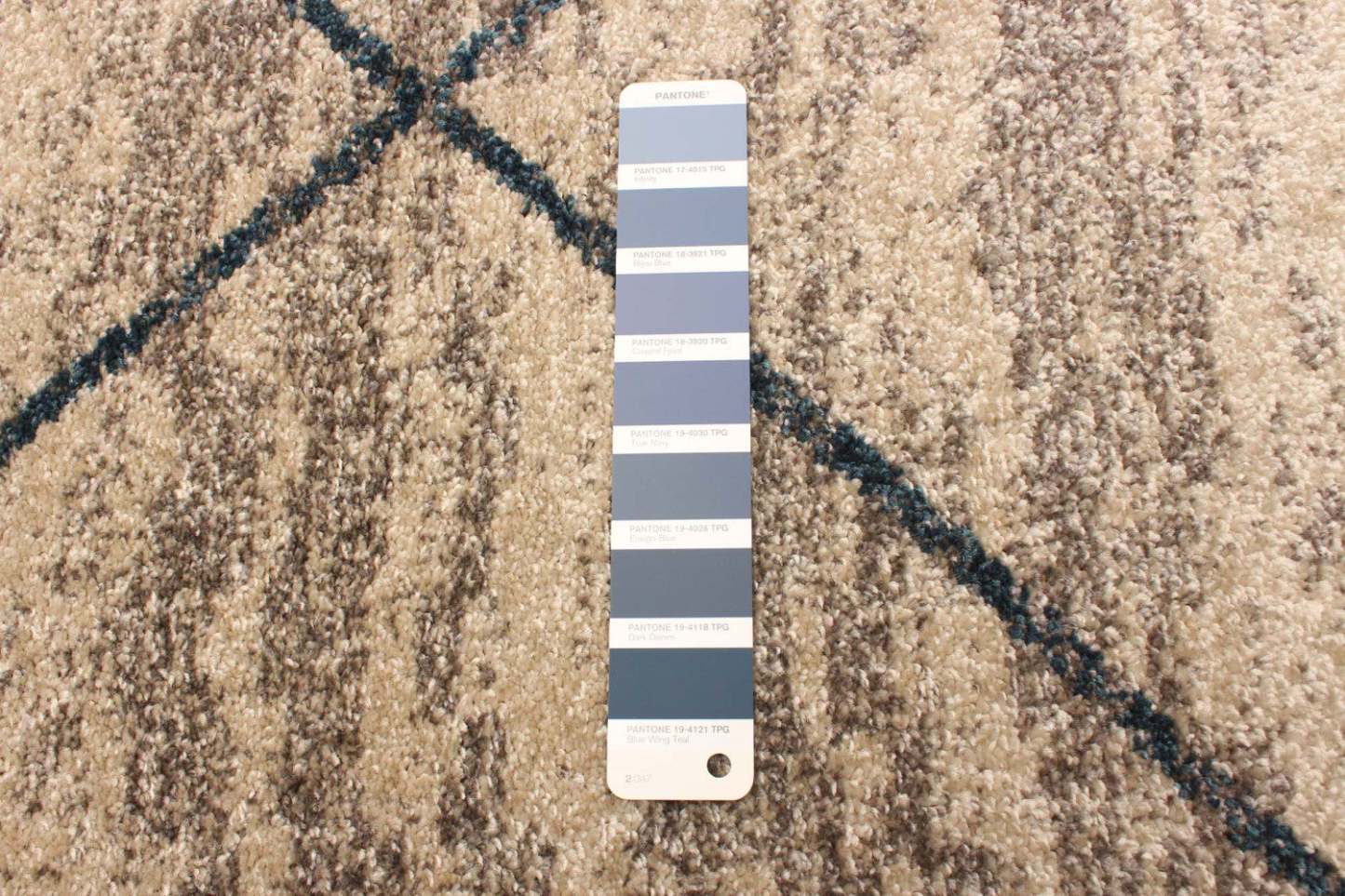 Tapis Grande Ivoire-Bleu 7'10 x 10'2|Carpette Grande ivoirebleu 7 pi 10 po x 10 pi 2 po|D26KNK6Q