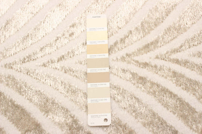 Tapis Roman Ivoire - 5'0 x 8'0|Tapis Roman Ivoire - 5 pi 0 po x 8 pi 0 po