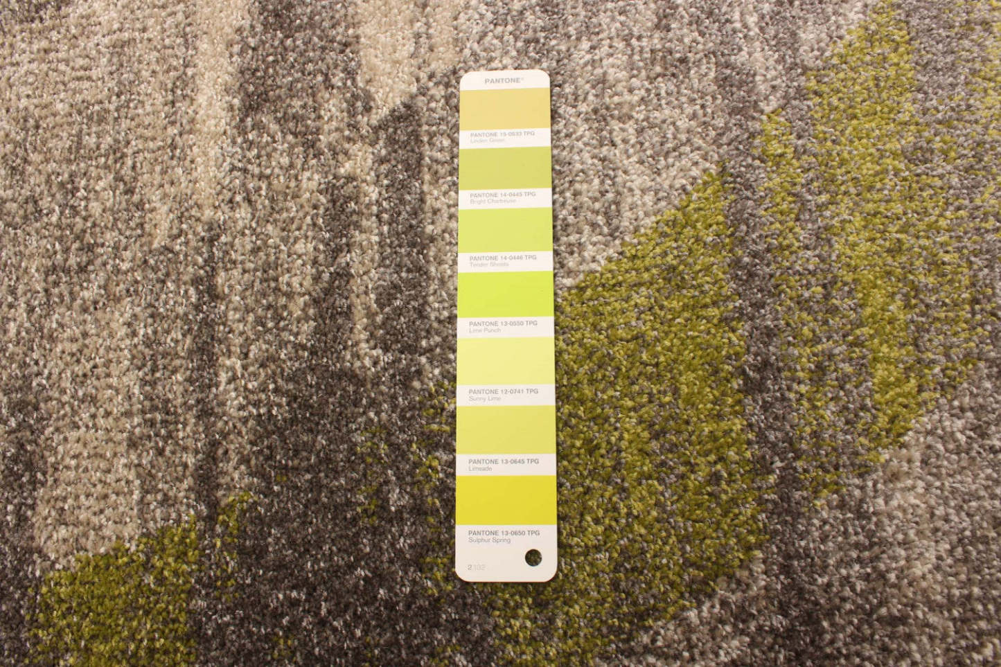 Korra ivoire / vert 6'7 x 9'6 tapis de sol | Tapis Korra ivoirevert 6 pi 7 po x 9 pi 6 po | D27VA913