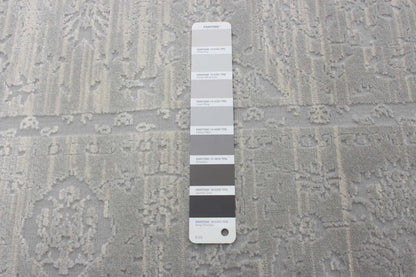 Carpette Shaleigh grise 3 pi 11 po x 5 pi 11 po|Shaleigh Grey Rug 3'11 X 5'11 Area Rug|D86FLBYB