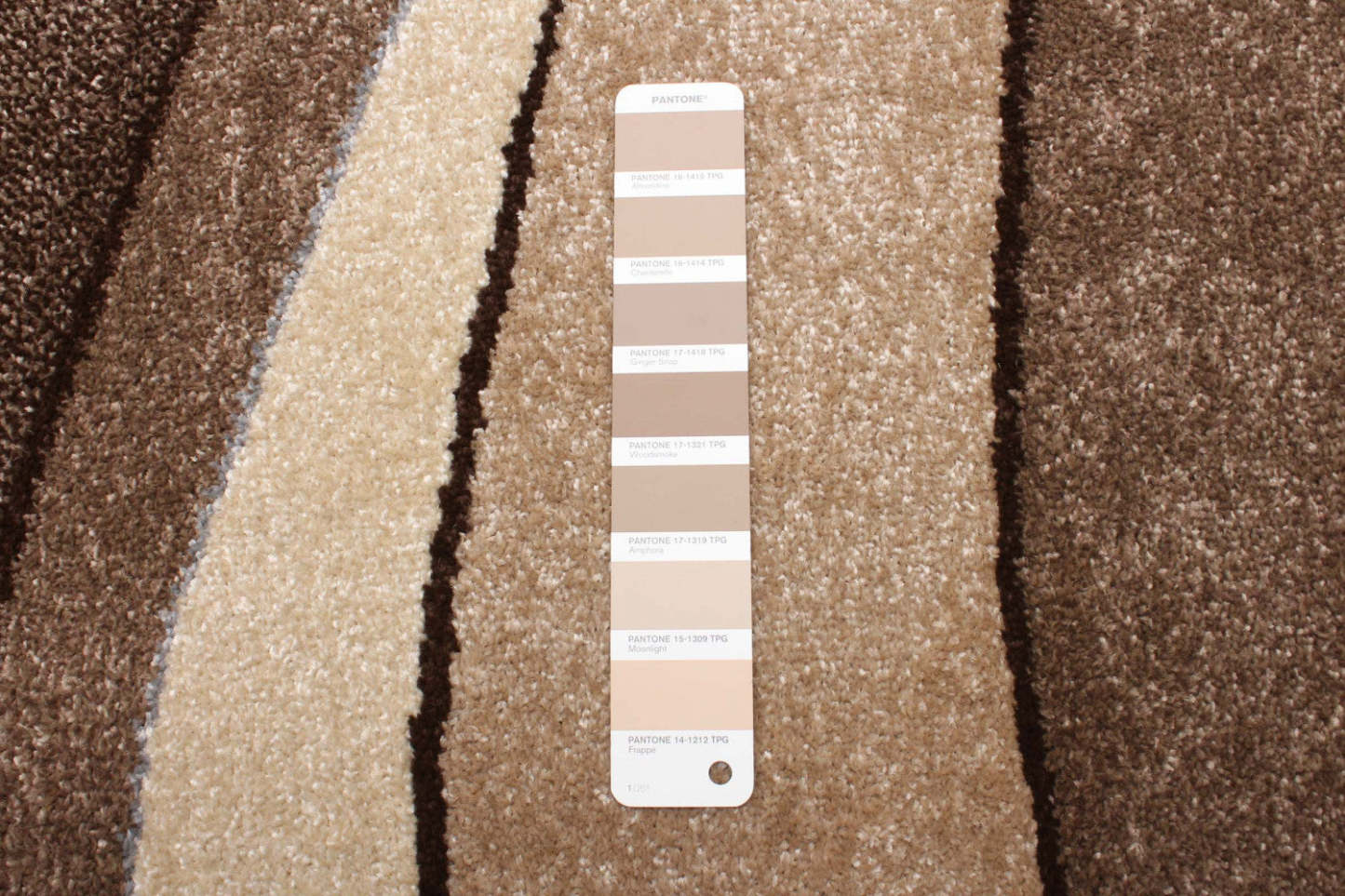 Carpette Branda - 6'7 X 9'10 | Carpette Branda brun clair - 6 pi 7 po x 9 pi 10 po