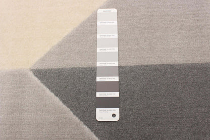 Zima Grey 4'7 x 6'7 Area Rug|Carpette Zima grise 4 pi 7 po x 6 pi 7 po|D86F6ZSJ