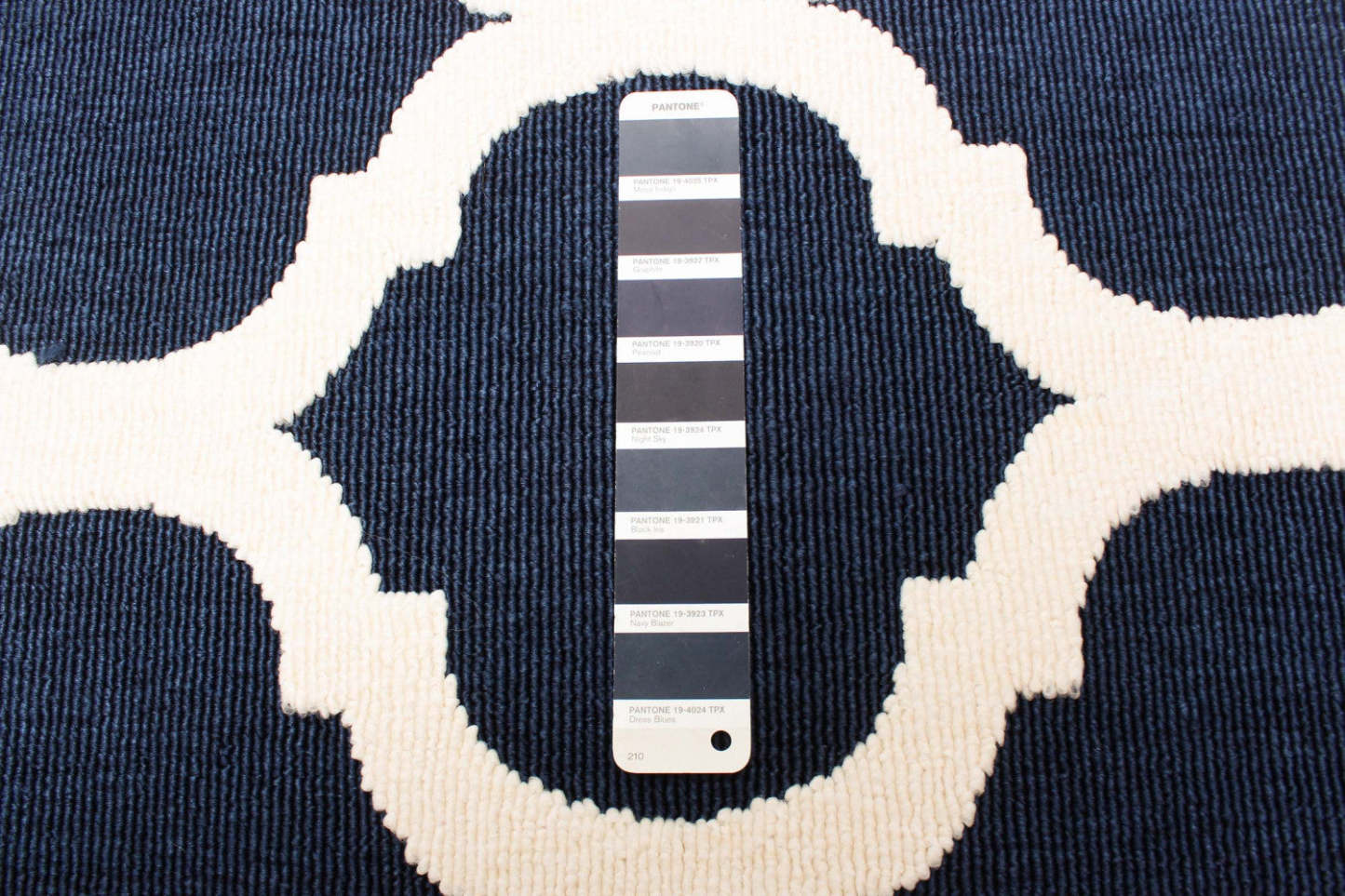 Tapis Sophie Ivoire-Marine - 6'7 x 9'6|Carpette Sophie ivoirebleu marine - 6 pi 7 po x 9 pi 6 po|D86FONFH