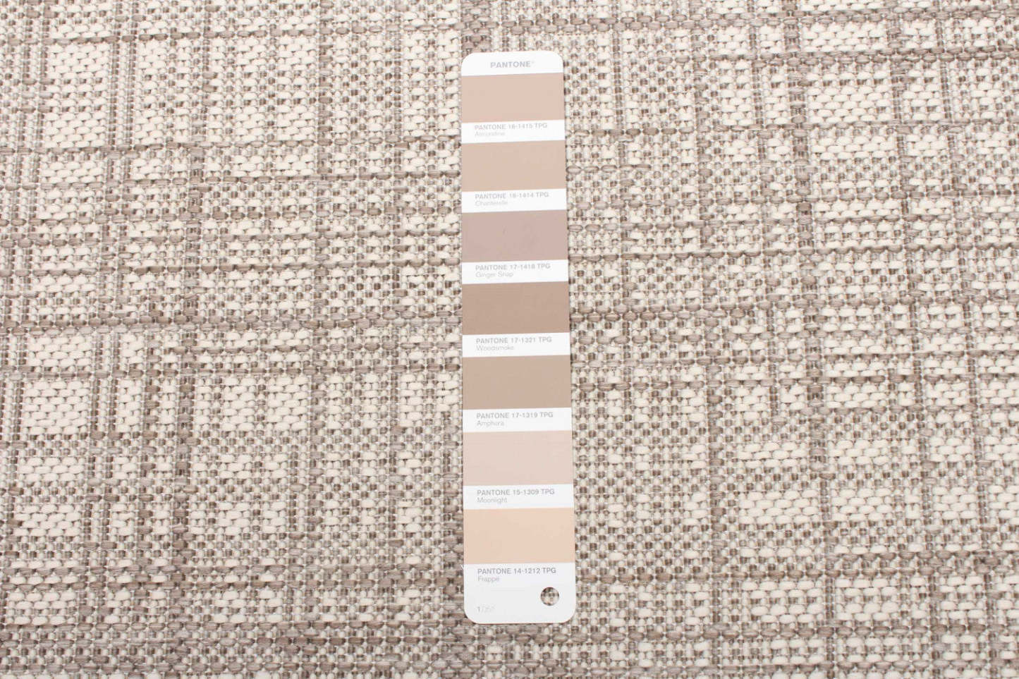 Panthea Ivory Area Rug - 3'3 X 4'7 |Tapis Panthea ivoire - 3 pi 3 po x 4 pi 7 po