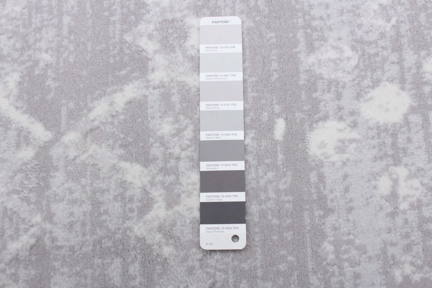 Tapis Dita Gris - 3'11 X 5'7 |Carpette Dita grise - 3 pi 11 po x 5 pi 7 po