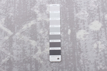 Tapis Dita Gris - 3'11 X 5'7 |Carpette Dita grise - 3 pi 11 po x 5 pi 7 po