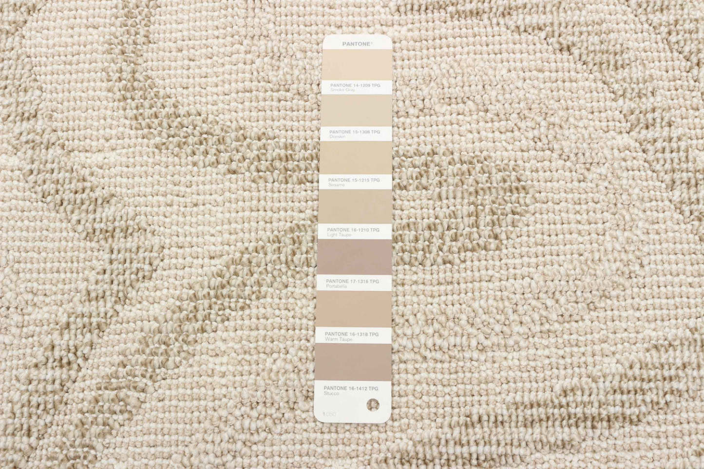 Tapis Elissa Beige - 8'0 x 10'0|Carpette Elissa beige - 8 pi 0 po x 10 pi 0 po|D86F6GH2